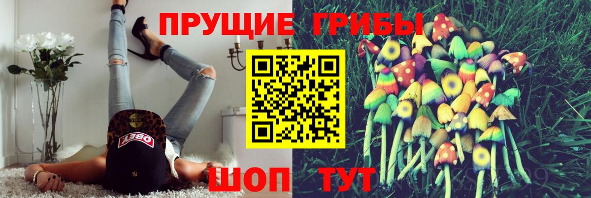 Псилоцибиновые грибы мухоморы Кудымкар