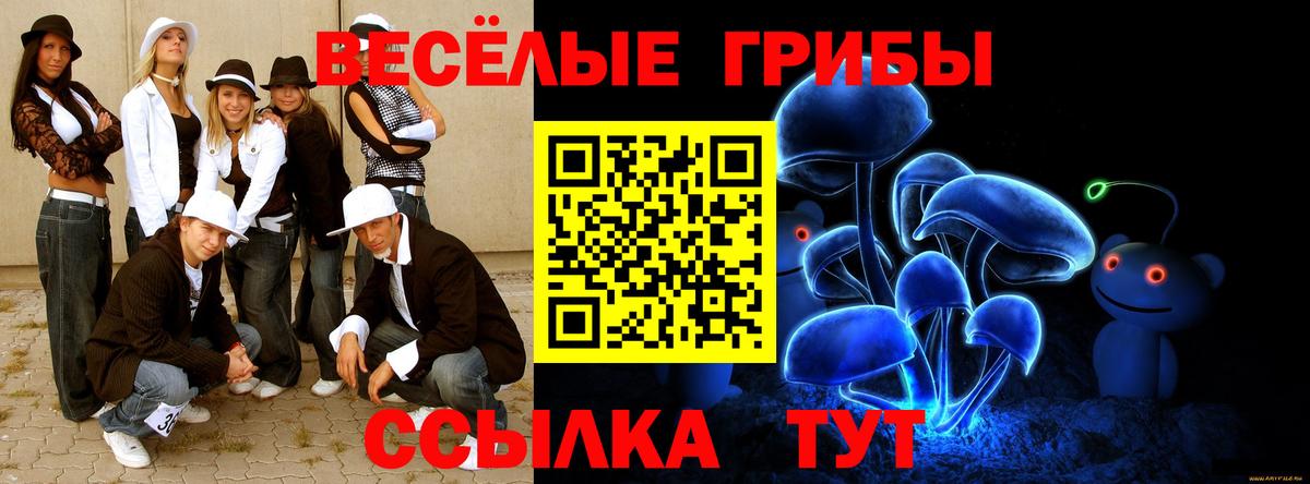 Кудымкар  Галлюциногенные грибы ЛСД  Вход с VPN 